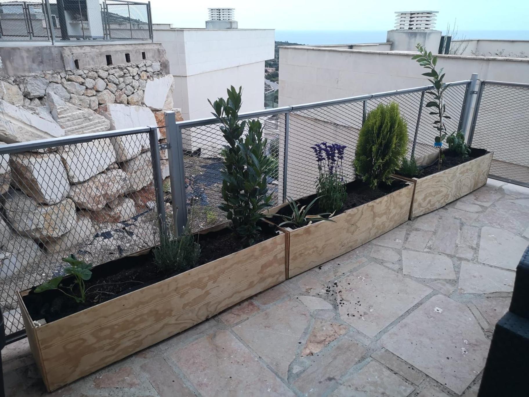 La Casa Del Mirlo Azul - Peniscola Apartment Екстериор снимка